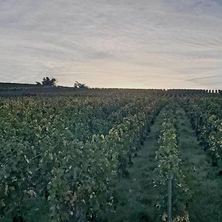 Gite Comme A La Maison Damery (Marne) Exterior foto
