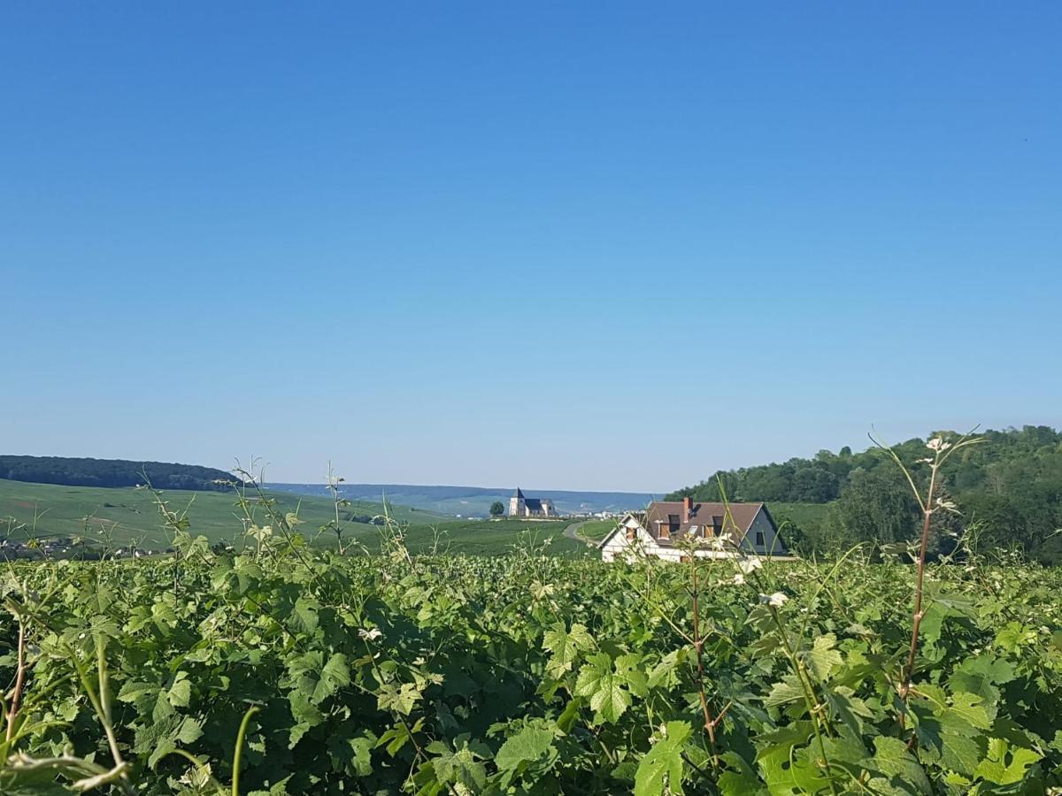 Gite Comme A La Maison Damery (Marne) Exterior foto